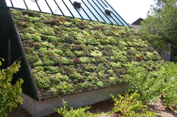 Green Roof at the Virginia Living Museum in Newport News, Virginia by Ryan Somma