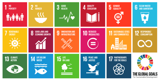 Figure 1. Sustainable Development Goals