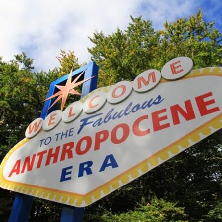Welcodme to the fabulous anthropocene era