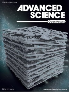 Figure 2: cover page of paper: Aligned Ionogel Electrolytes for High Temperature Supercapacitors. (right)