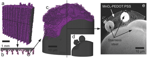 Figure 3. Proposed failure modes for 3D printed electrodes based on XCT reconstruction showing the electrode morphology, cracks, and current collector bonding.